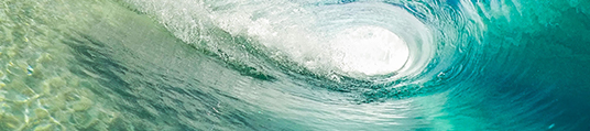 Surf